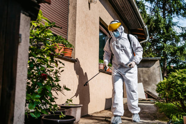 Best Mosquito Control Services  in Bloomington, MN