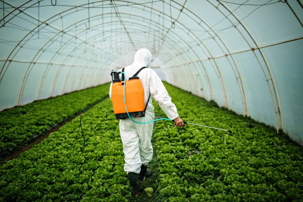 Best Local Pest Control Services  in Bloomington, MN