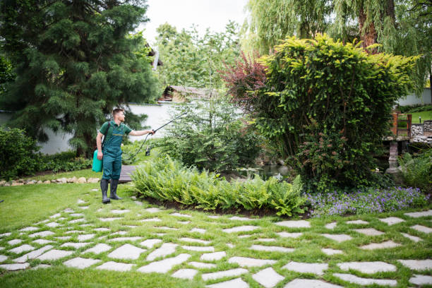 Best Wasp Removal Services  in Bloomington, MN