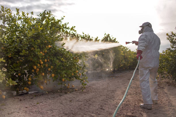 Best Cockroach Control Services  in Bloomington, MN
