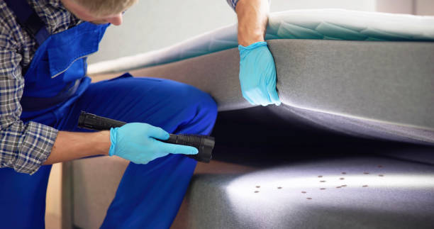Best Pest Control Near Me in Bloomington, MN
